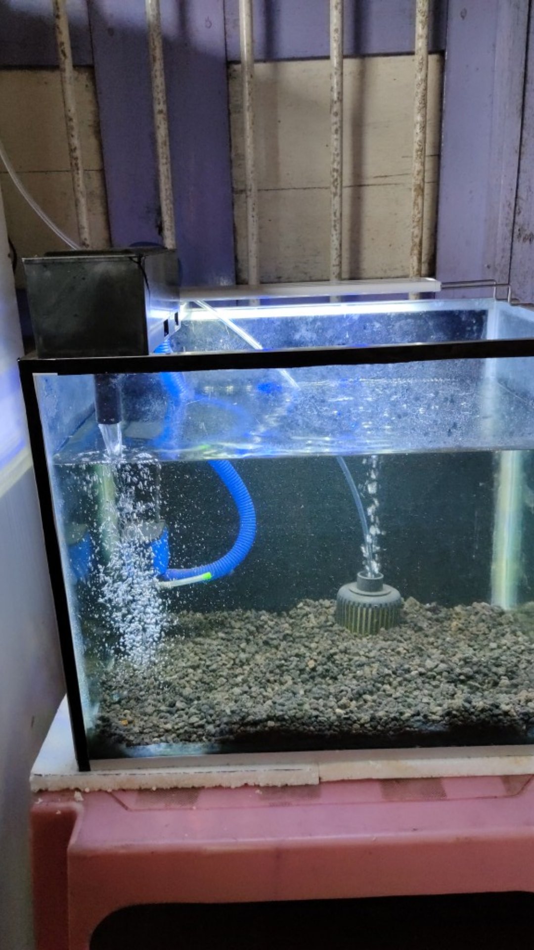 Pin Oleh Cs Pusataquarium Di Lampu Led Yamano 3 Watt Produk Dan Kotak
