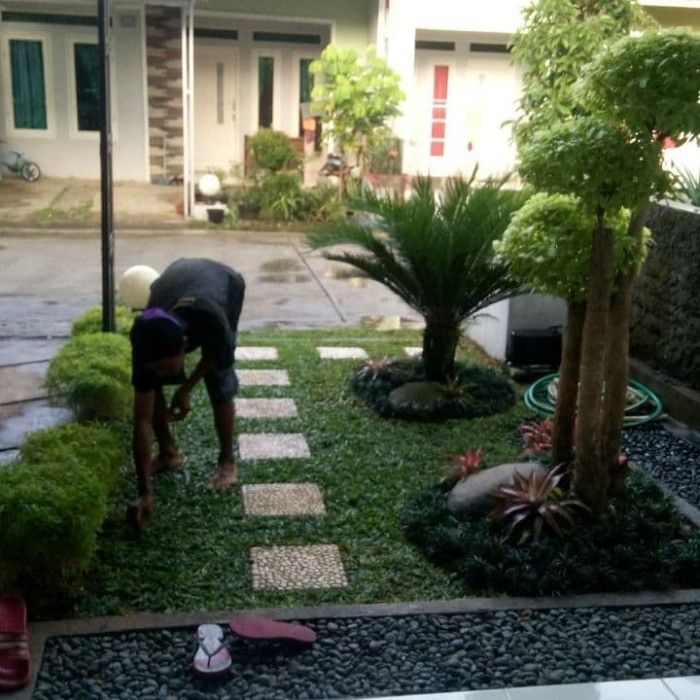 jasa taman rumah minimalis