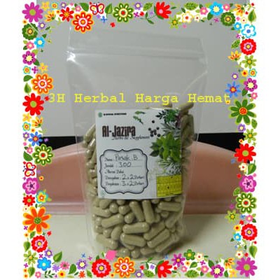 Curah Kapsul Pasak-Bumi isi 300 Obat Jamu Herbal Kuat Pria Tongkat Ali - ju042