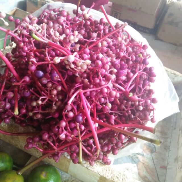 

Parijoto