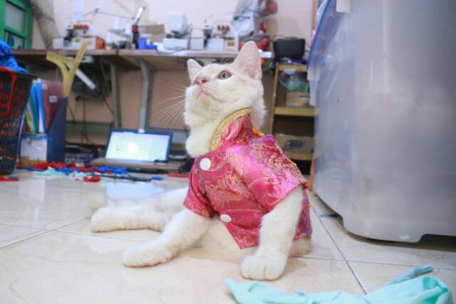 Kemeja chongsam lucu untuk kucing dan anjing imlek 2019 size S M L XL