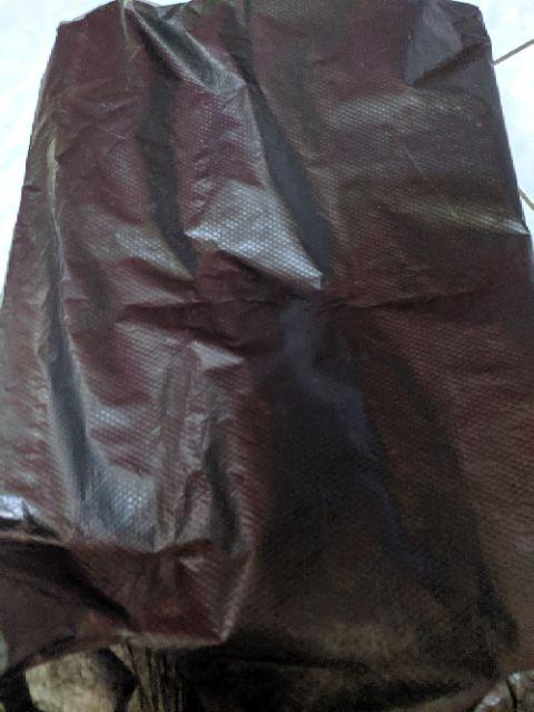 Ez Jet Water Canon Cannon Alat Semprotan Air Kualitas Bagus