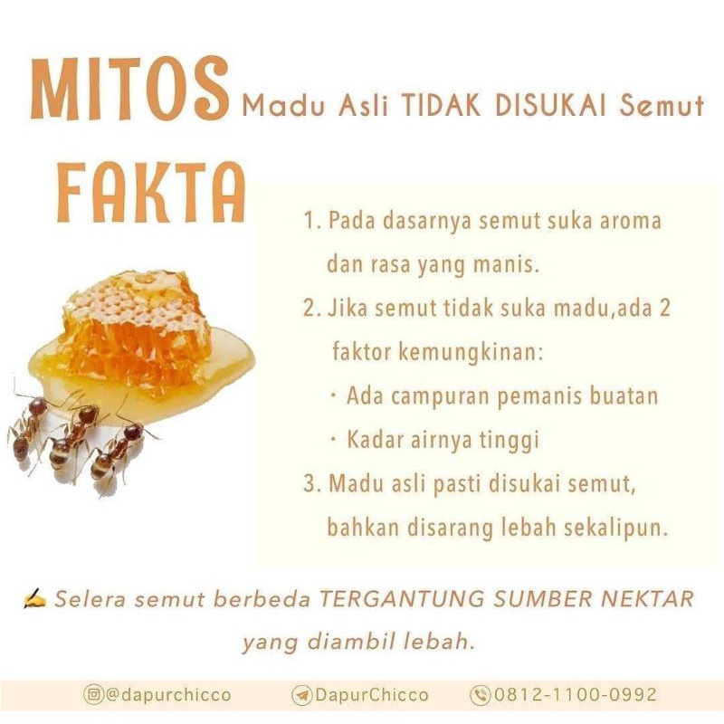 Grosir Termurah Madu Murni [ 5kg ] Multiflora 100% Raw Honey ORGANIC