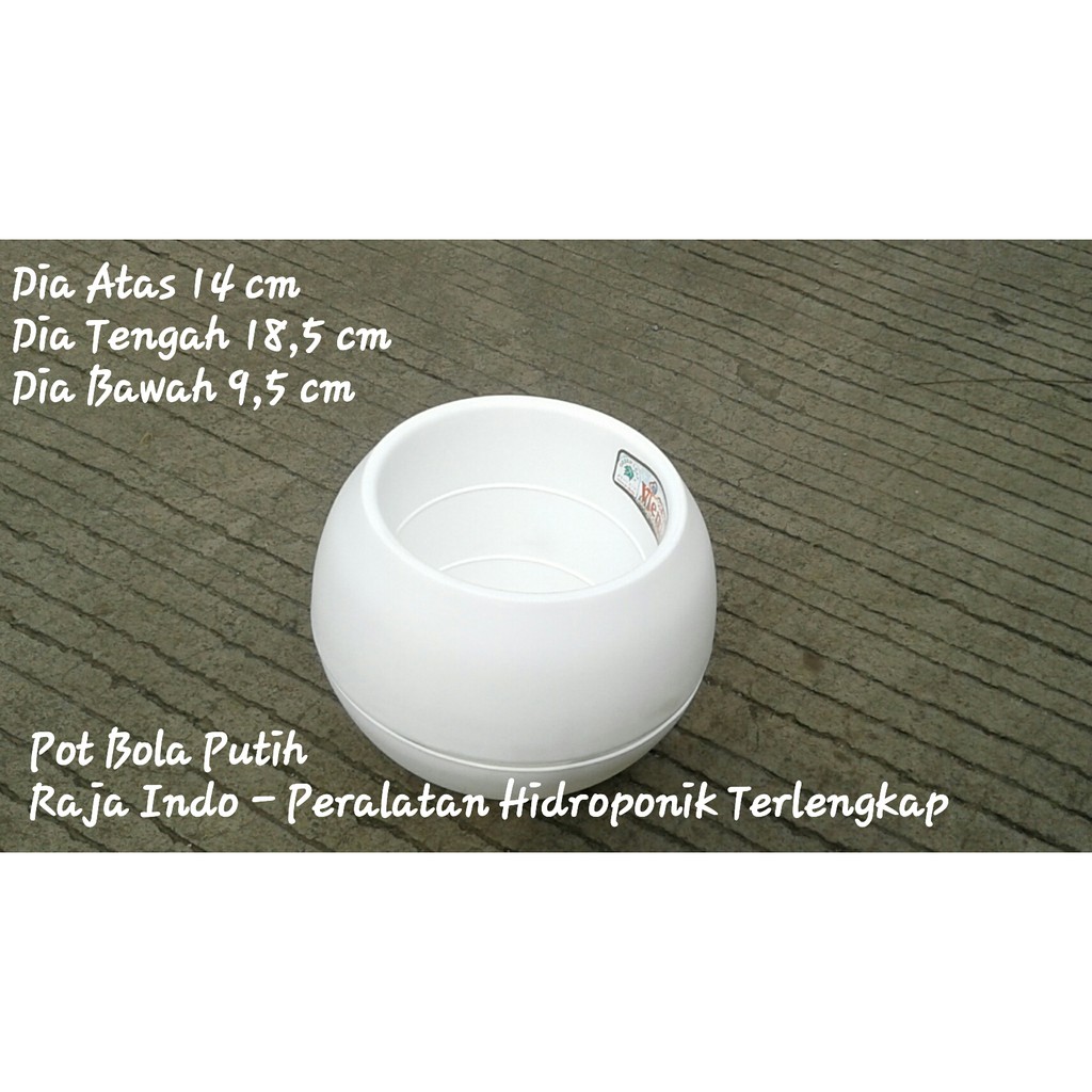 Pot Bola Vienna Putih 14 Cm Pot Bunga Pot Bola Vienna Plastik Jumbo Putih Mini Moci Busa Kaktus