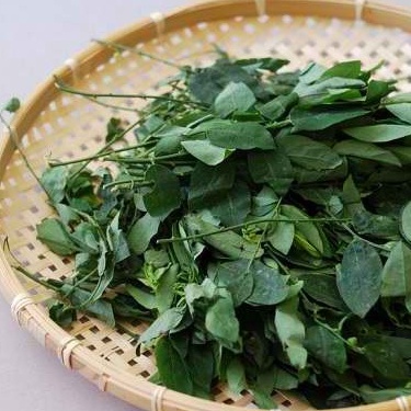 

Daun Katuk 1 ikat