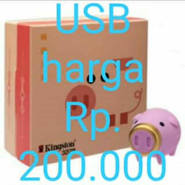 USB shio babi Kingston