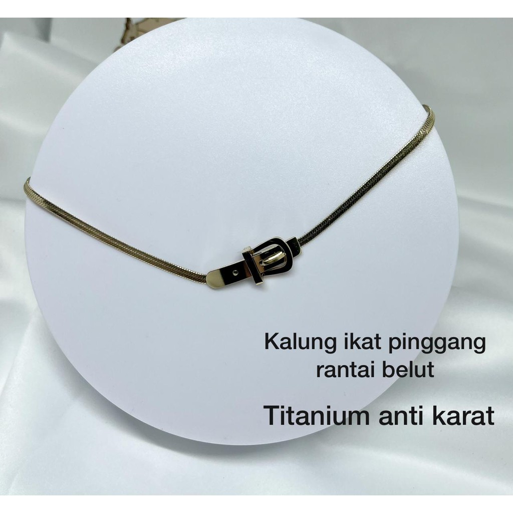 COD! kalung titanium anti karat/ kalung wanita ikat pinggang rantai belut import