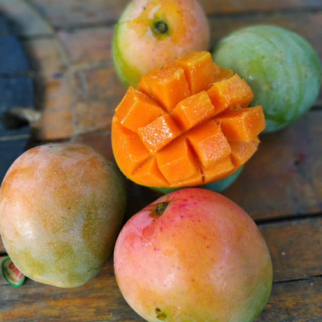 

PO Mangga Gedong Gincu