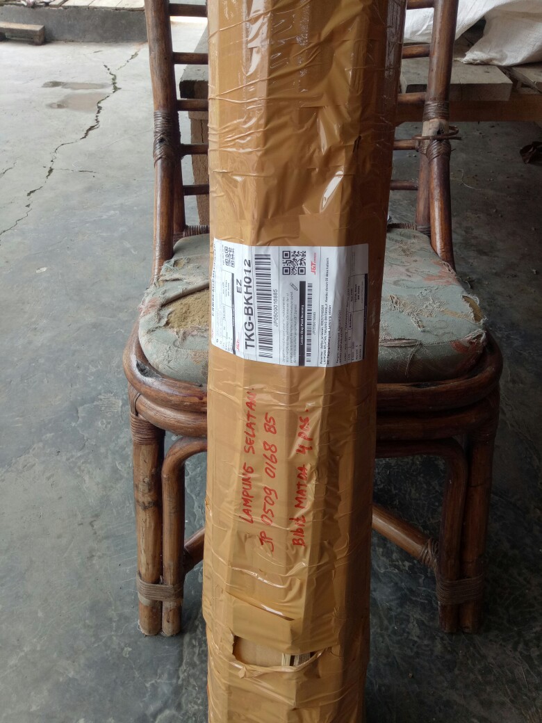 Tanaman/bibit Matoa (siap Tanam)