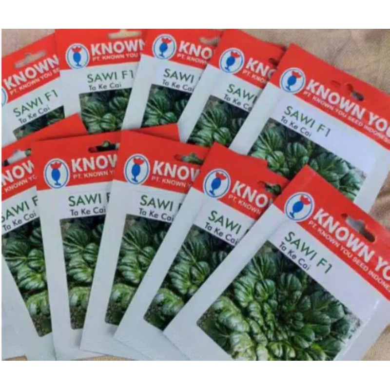 Benih SAWI PAGODA