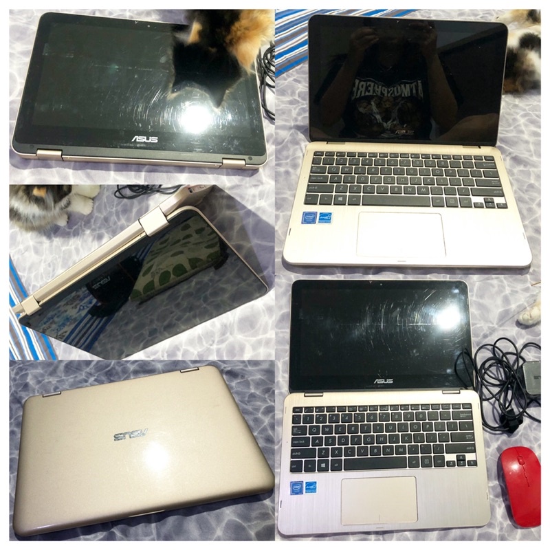 Laptop Asus Vivobook 12 Netbook Flip 2020
