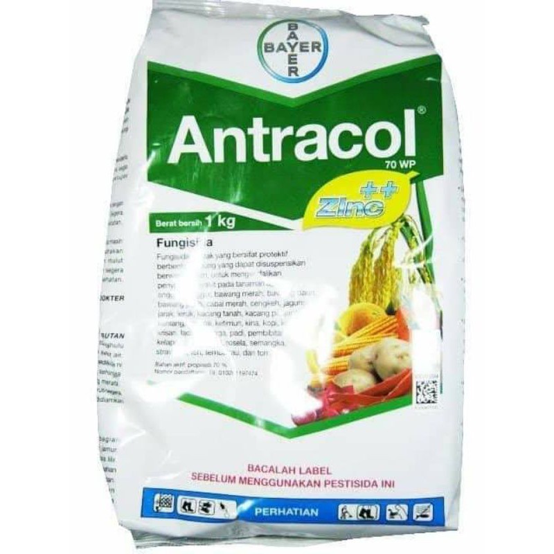 Fungisida Antracol Original Bayer 1KG