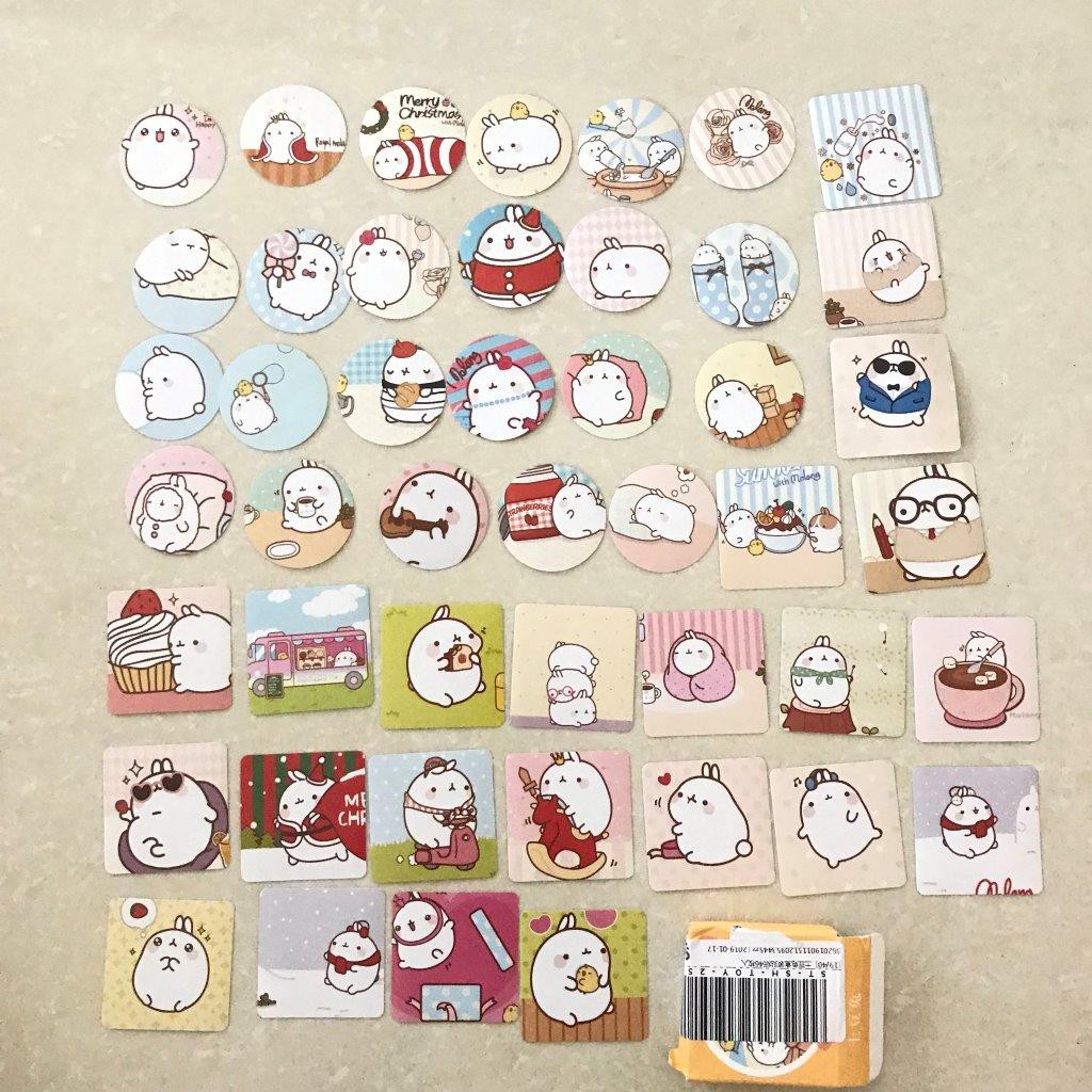 

Stiker molang stiker kelinci lucu stiker kelinci putih stiker white rabbit