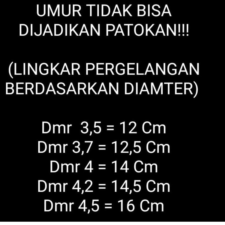 (MENARIK) (BAYI) Gelang bayi Swasa kuning selamanya (aksesoris perhiasan)