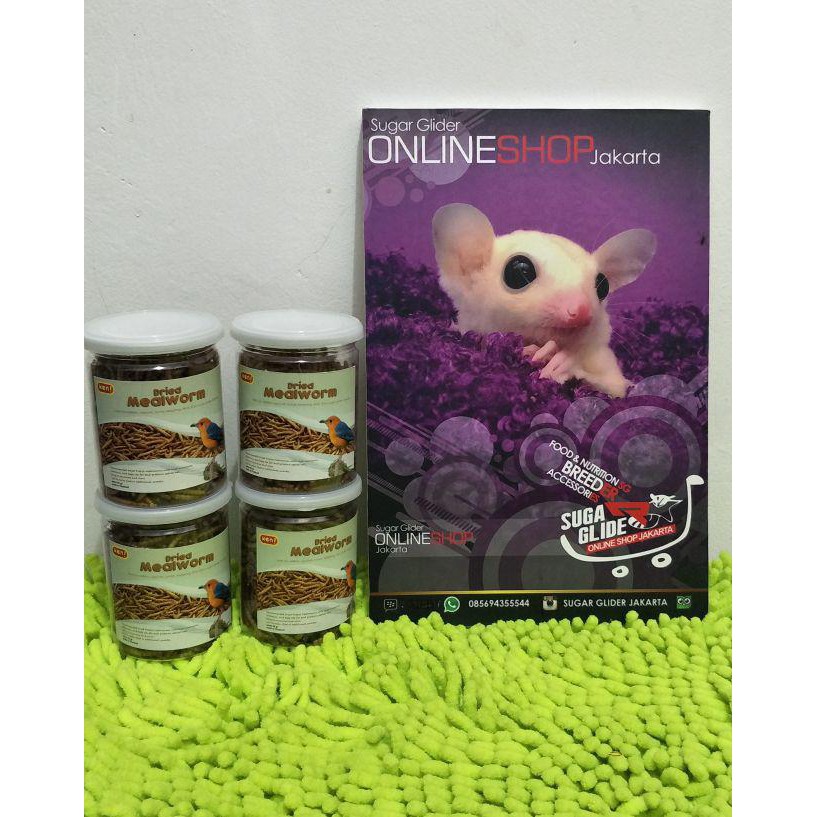 Ulet Hongkong Kering Import Sugar Glider