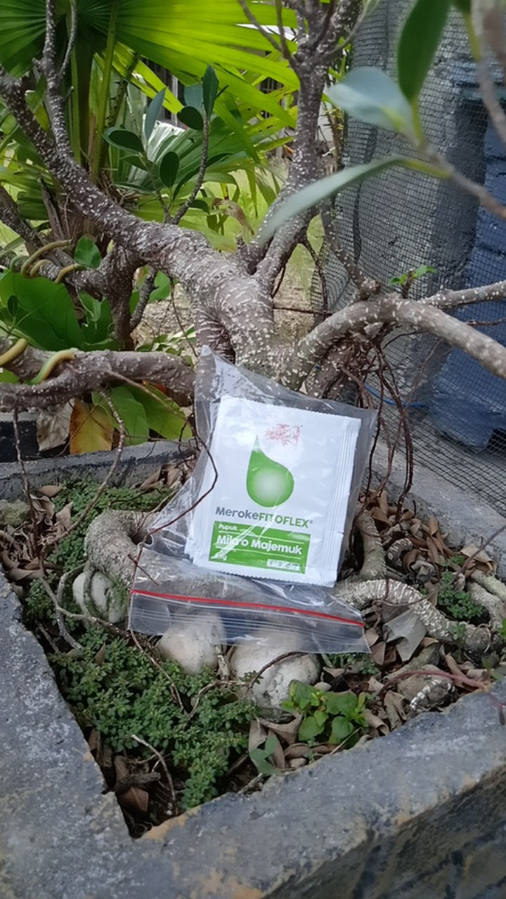 Meroke Fitoflex 2.5 Gram Pupuk Mikro Majemuk Lengkap