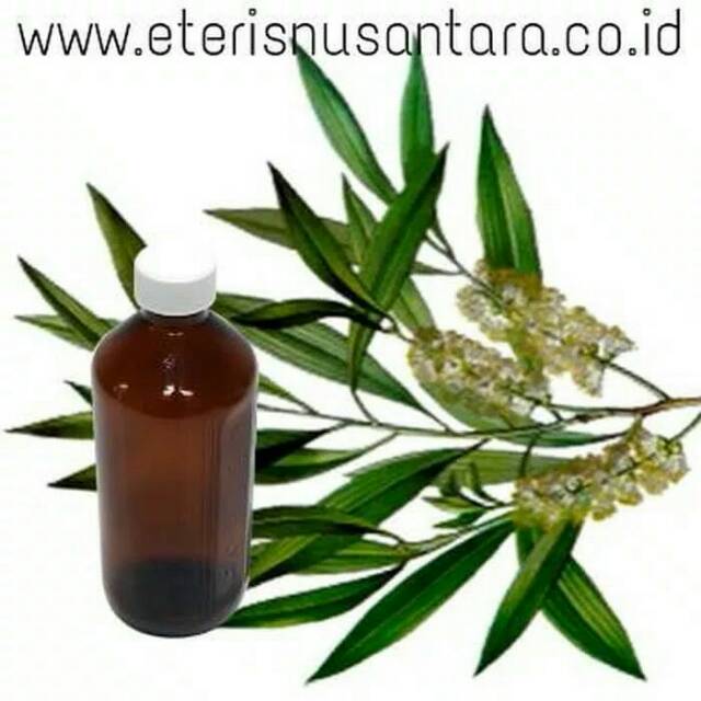 

Minyak Tea Tree/ Tea Tree Oil