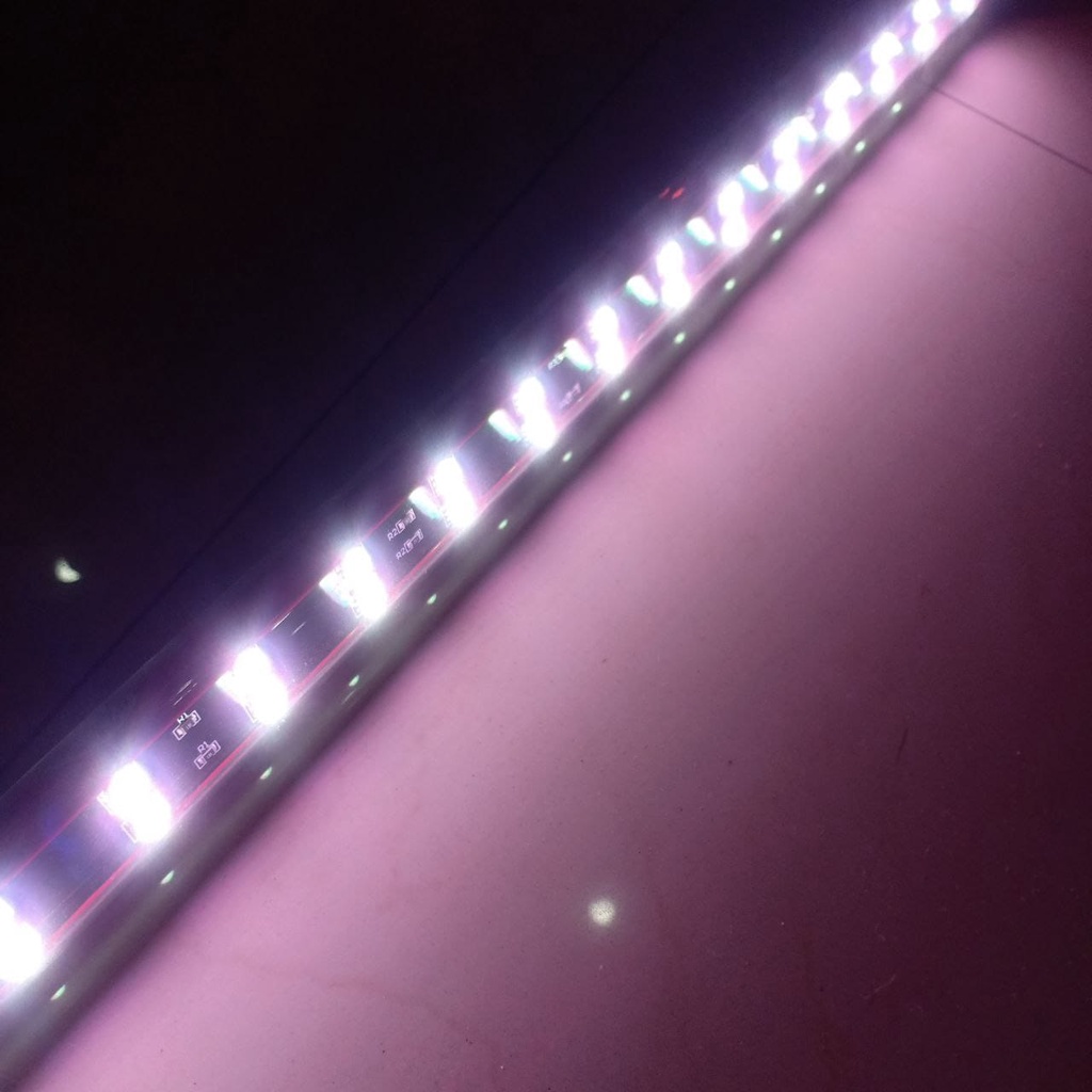 LAMPU AQUARIUM LED TANNING CELUP GEX T8-52 / GEX-52 / GEX-72 / Lampu Tanning 10000 Kelvin GEX 72 GEX