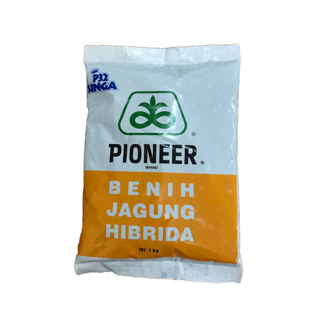 Benih Jagung Hibrida Pioneer P32