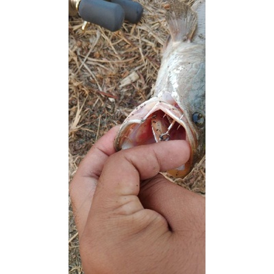 LURE CASTING METAL VIB VIBRA UMPAN DALAM SANGAT KILLER 4 cm 7gr