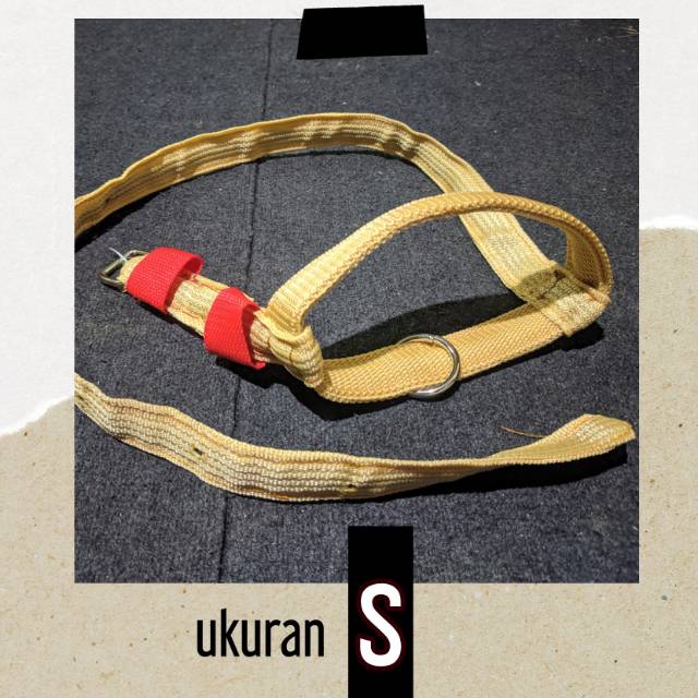 Tali Tuntun Sapi, Head Halter, Brangus Sapi