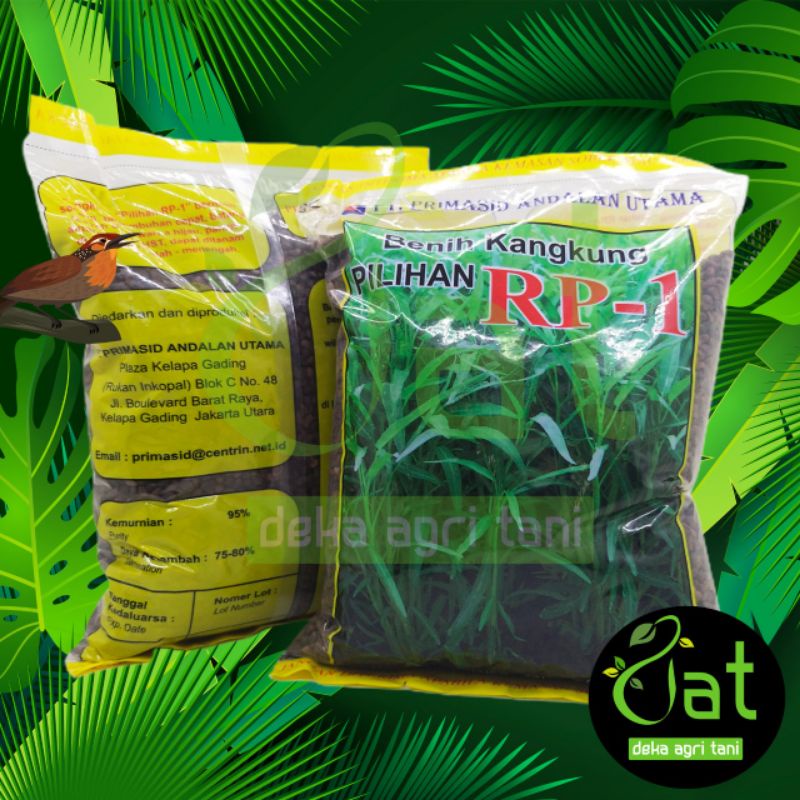 BIBIT/BENIH KANGKUNG UNGGUL SUPER CAP PILIHAN RP-1 1KG PRIMASID
