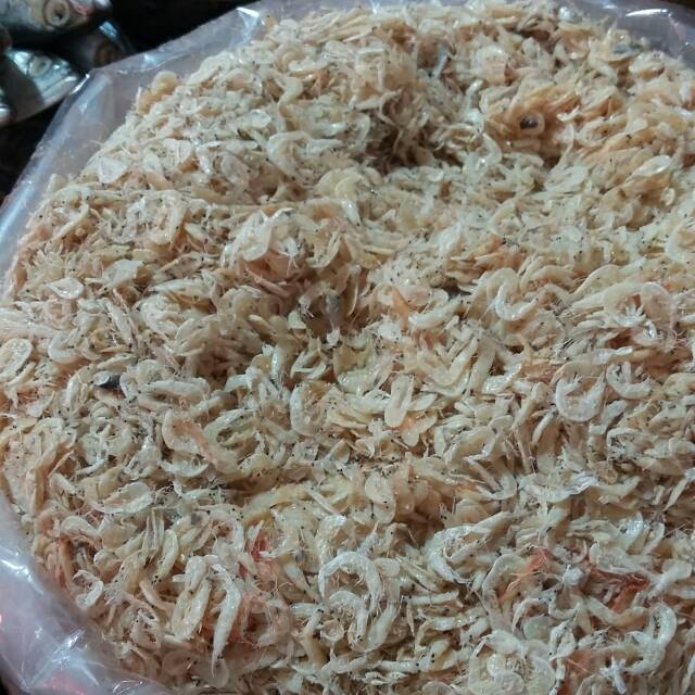 

Rebon Asin