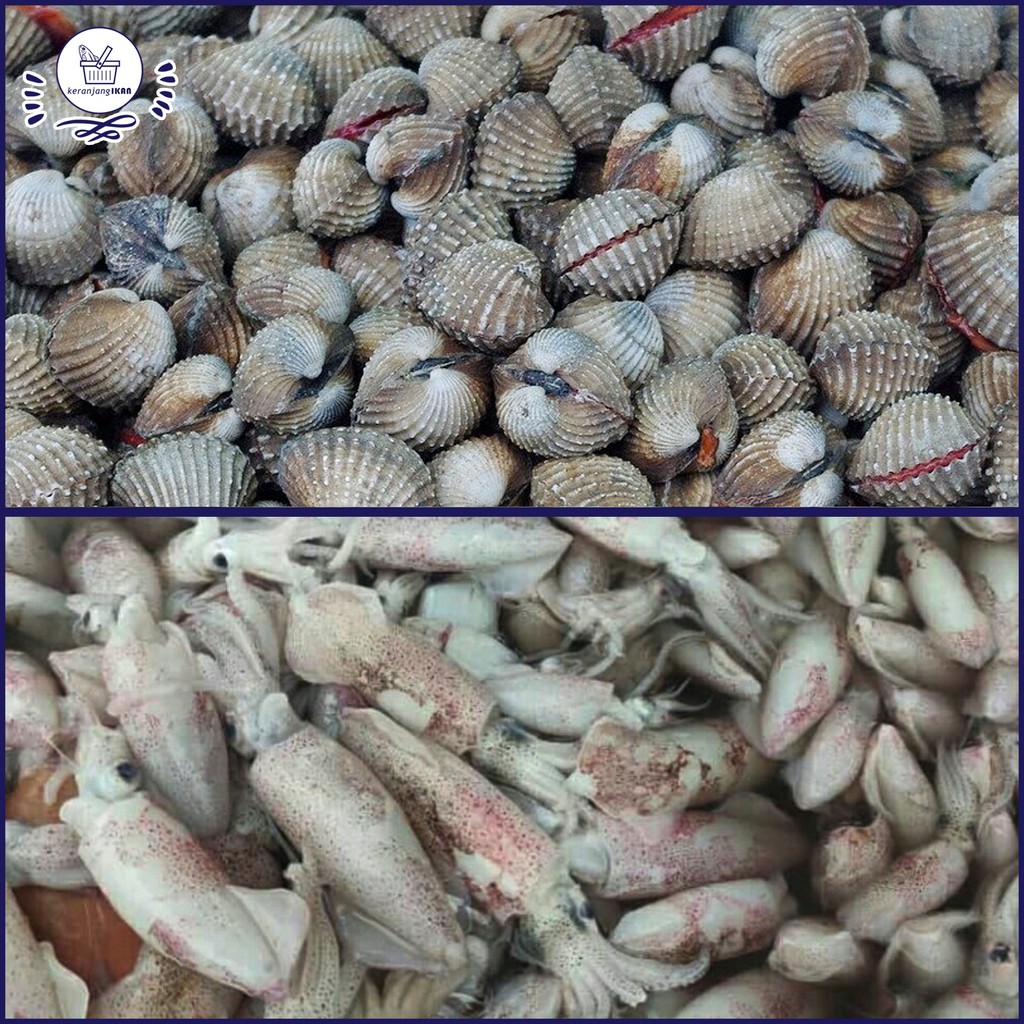 

PAKET HEMAT Kerang Dara 1kg Baby Cumi 1kg