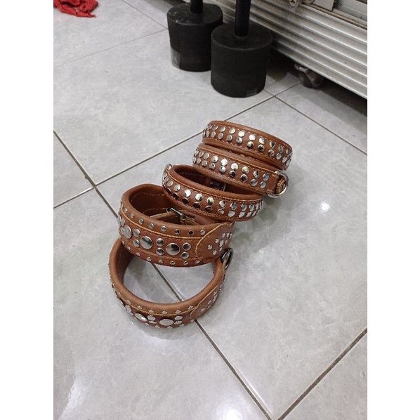 kalung anjing kampung selayang bahan kulit