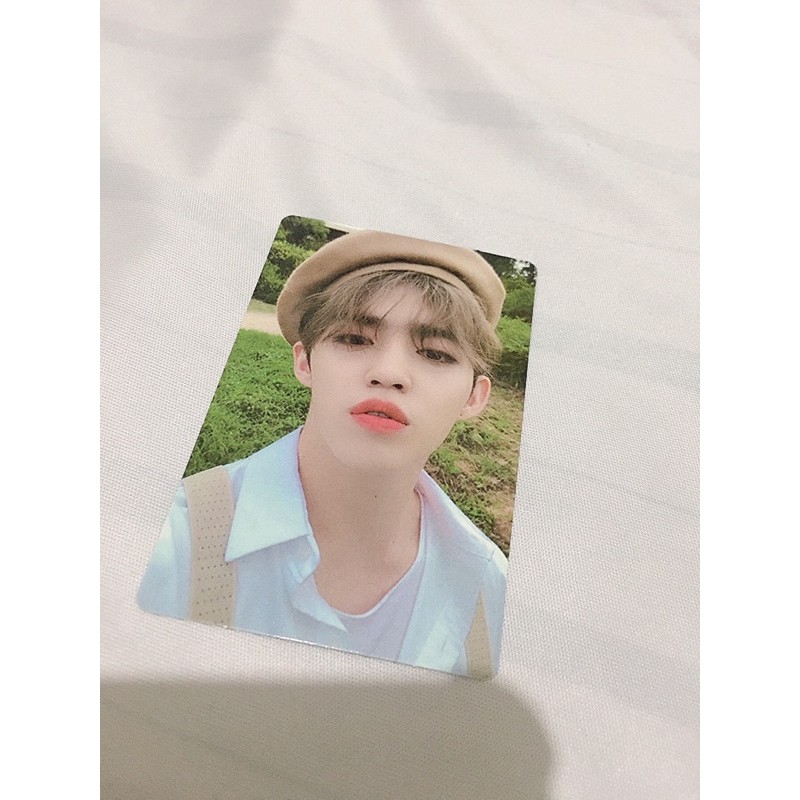 Scoups Beret (booked)