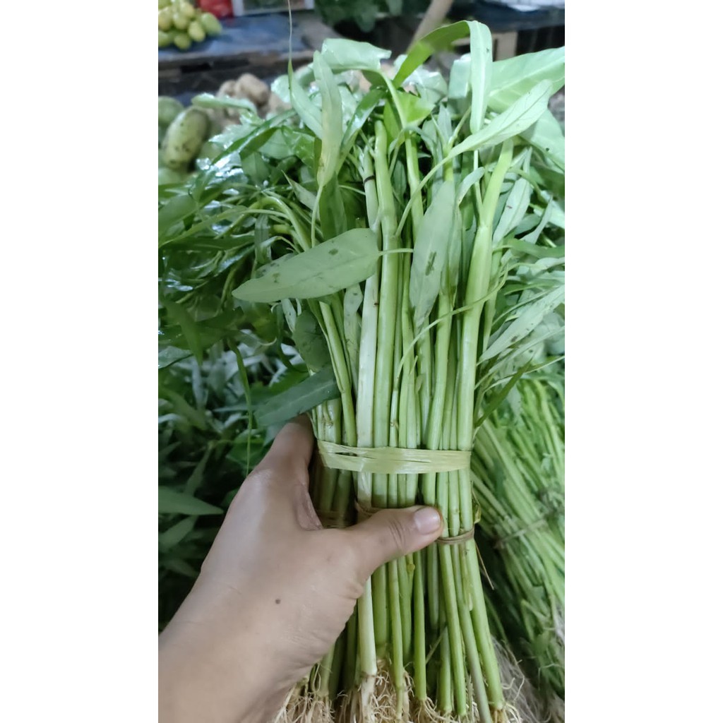 

Sayur Kangkung | Kangkung Perikat | Kangung Ikat