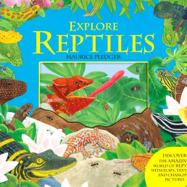 Explore Reptiles