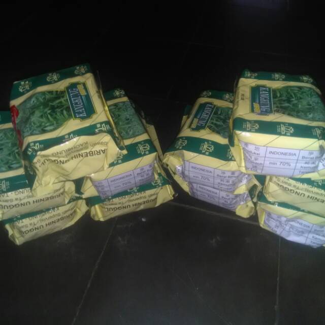 Bibit kangkung super