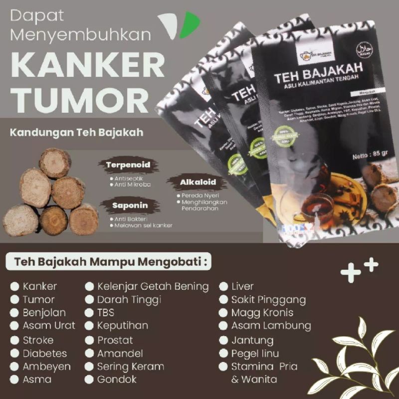 Teh bajakah teh bajakah asli Kalimantan akar bajakah Kalimantan herbal teh kayu bajakah teh herbal obat kanker obat maag kronis obat diabetes kayu bajakah kalalawit merah premium obat herbal alami