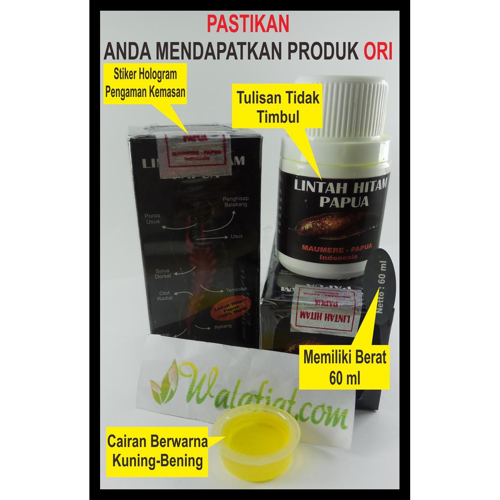 Privasi Aman Minyak Lintah Hitam Asli Papua 60 Ml Isi Kuning Kode 625 Shopee Indonesia