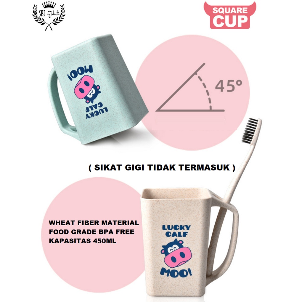 Gelas Cangkir Mug anak SQUARE CUP ECO GREEN WHEAT MATERIAL BPA FREE ADA DUS COCOK DIJADIKAN KADO HADIAH OLEH2