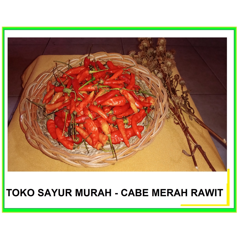 

CABE RAWIT CABAI MERAH