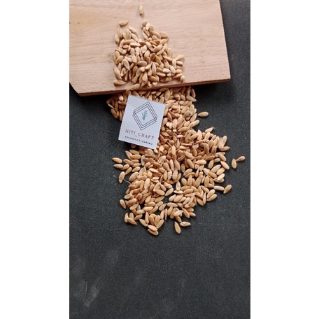 

Biji melon kering // dried melon seeds