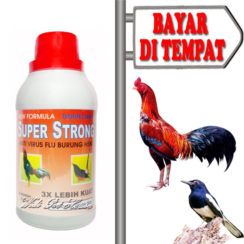 Anti Virus Flu Burung Ayam Unggas Super Strong
