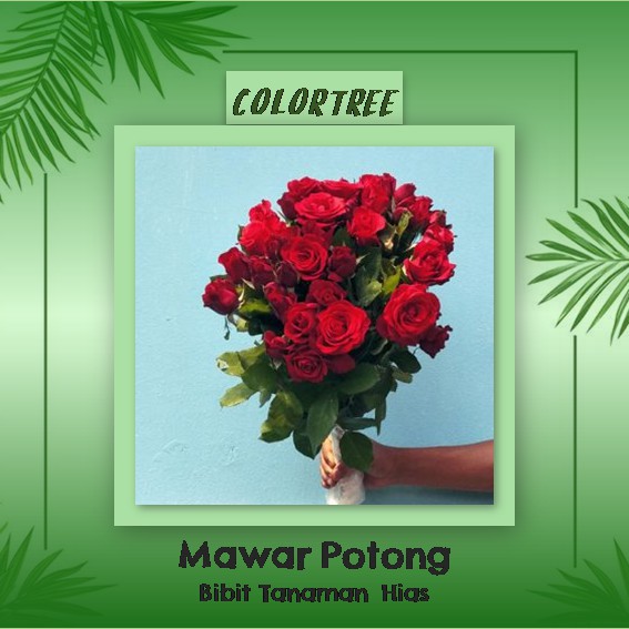 Bunga Mawar Potong Per 10pcs Shopee Indonesia