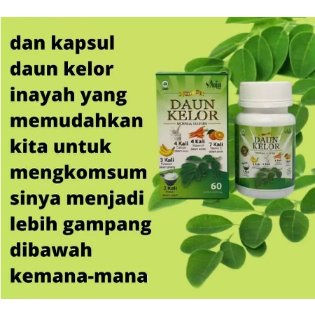 Kapsul Daun Kelor Inayah Ekstrak Kapsul Daun Kelor Moringa 60  Kapsul