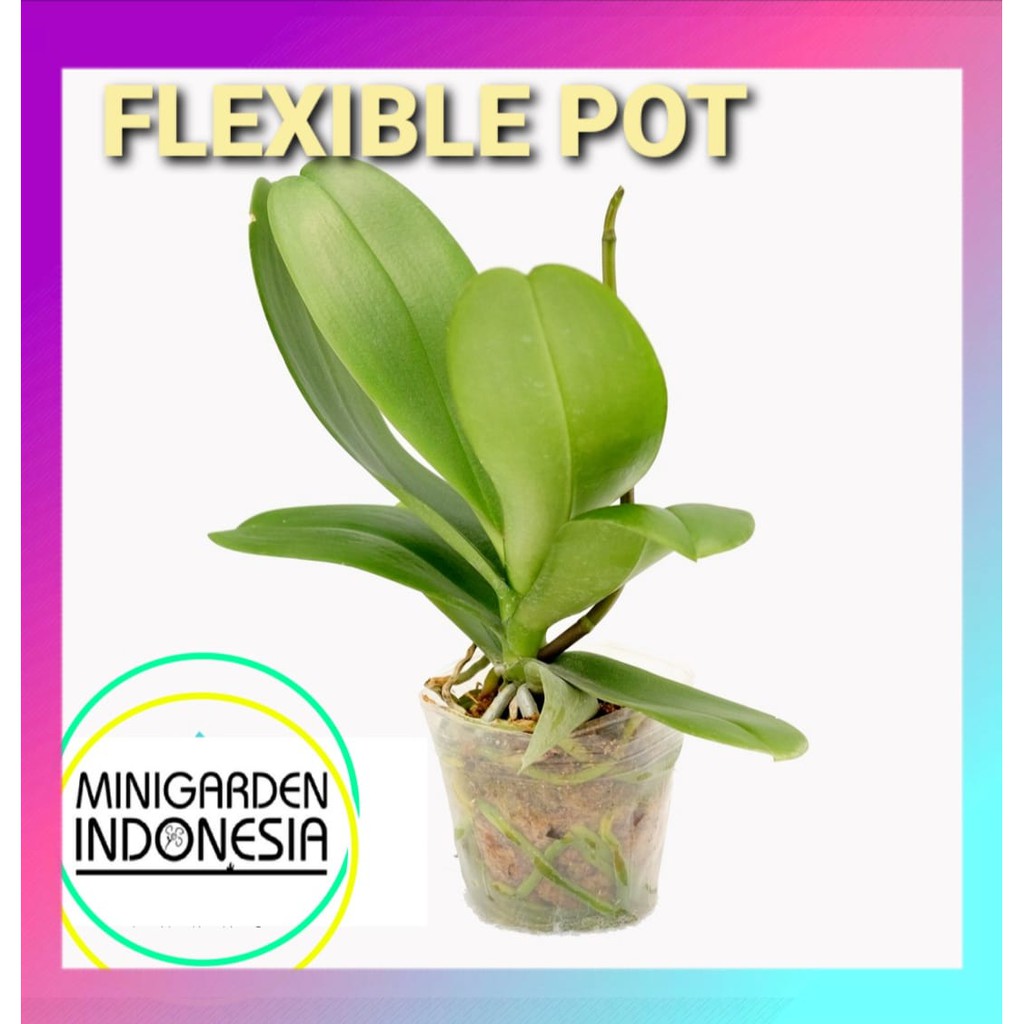 SOFTPOT FLEXIBLE POT 8CM seedling pot Media Tanam Bunga Anggrek Kaktus orchid fleksibel pot 2,5 inch