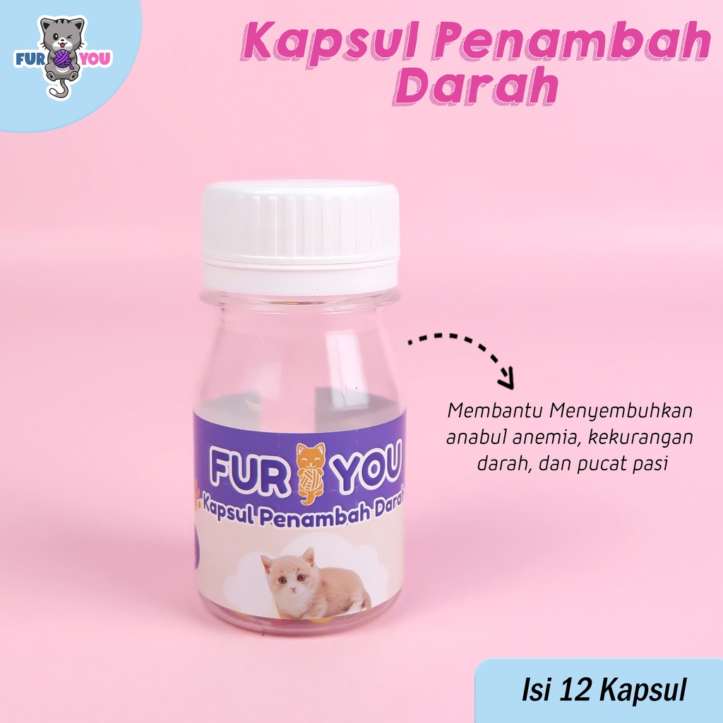 Fur You Kapsul Penambah Darah Anabul Kucing Anemia dan Pucat Gejala Parasit Darah