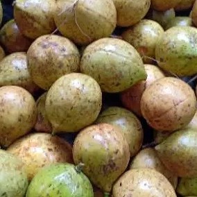 

buah pala segar 1 kg