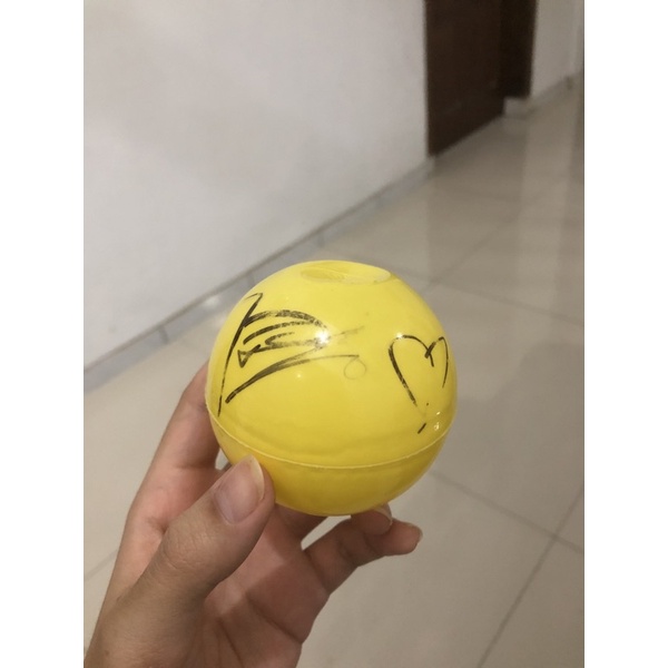 Signed Ball DINO SEVENTEEN (17)