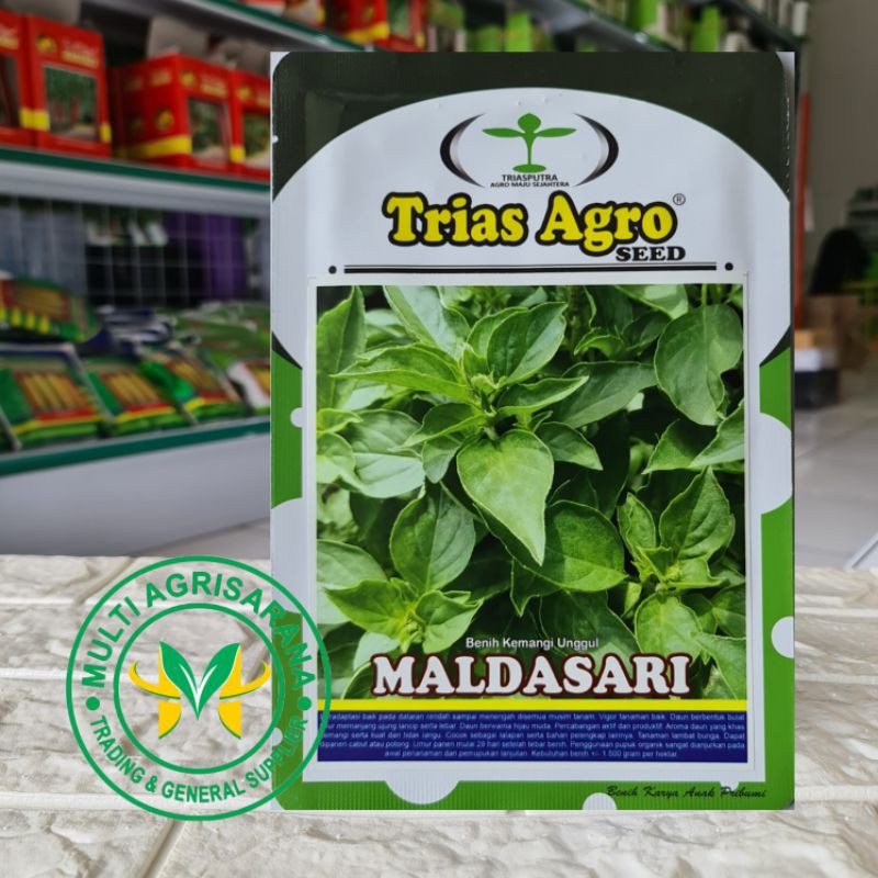Bibit Benih Kemangi MALDASARI 5gr.