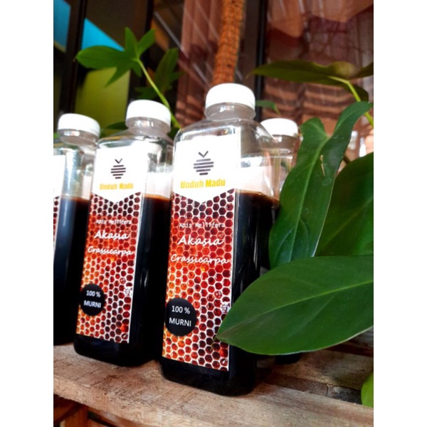 

madu hutan akasia riau