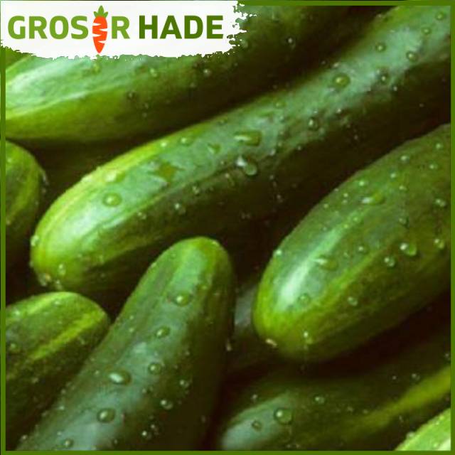 

Mentimun segar bandung 500 gram Pasar Bandung Murah