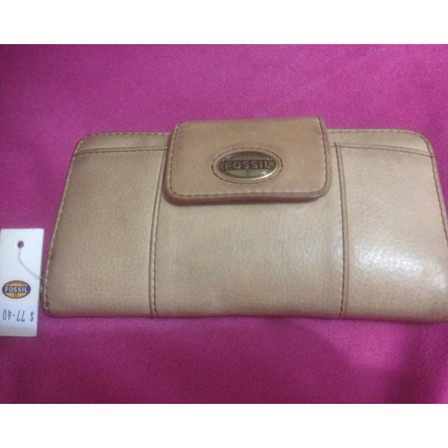 Fossil explorer SOLD