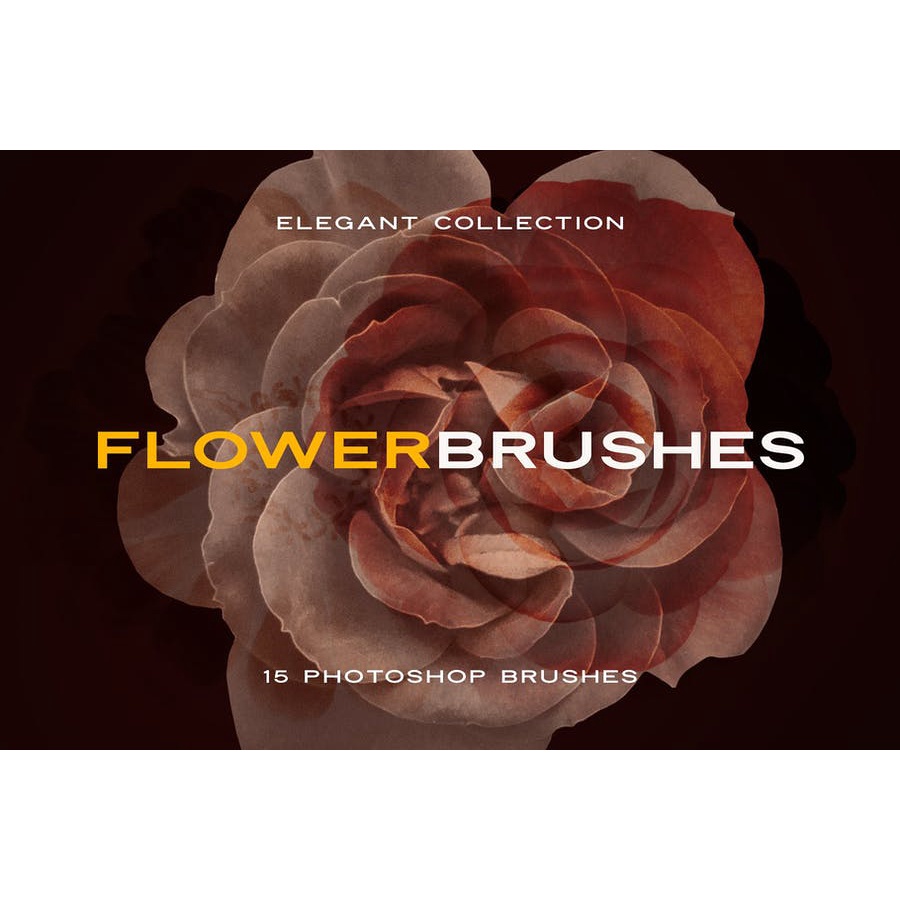 Elegant Flower Brushes  - Photoshop